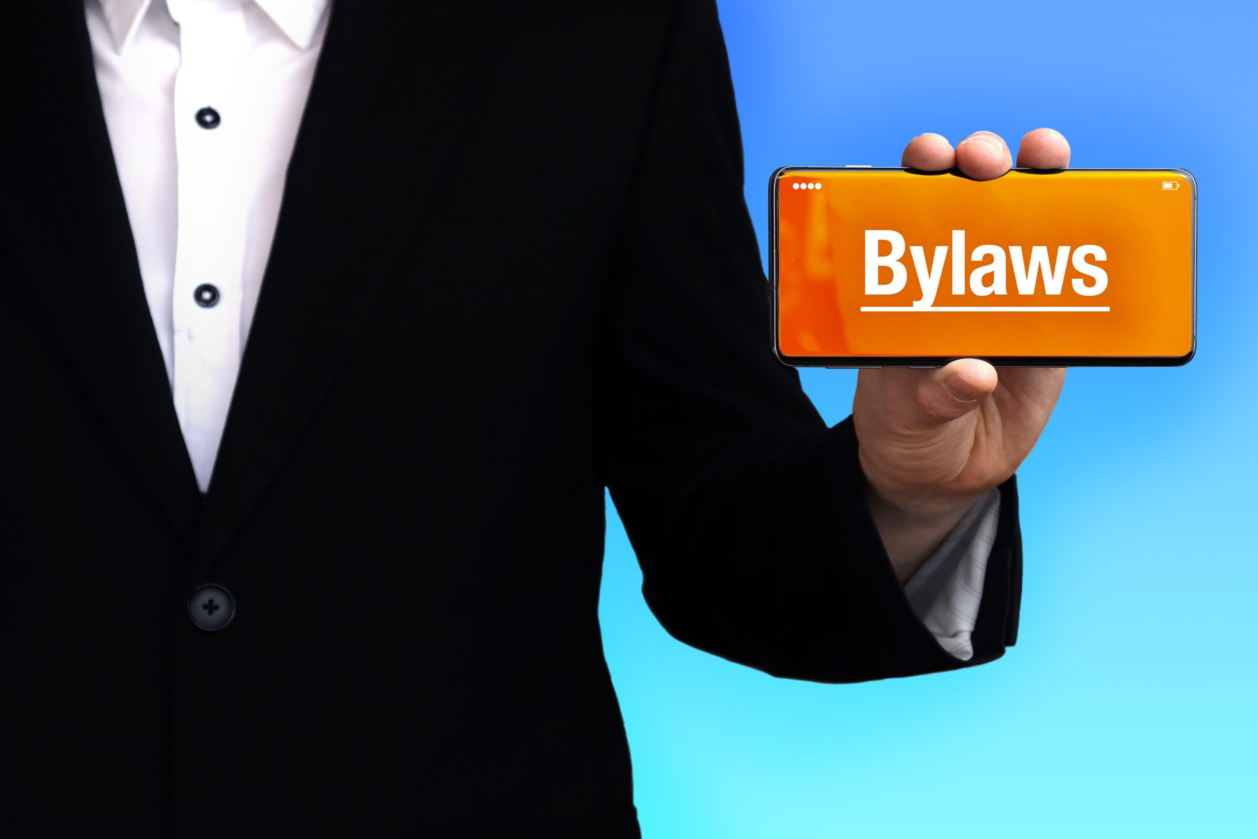 why are bylaws important for a 501c3